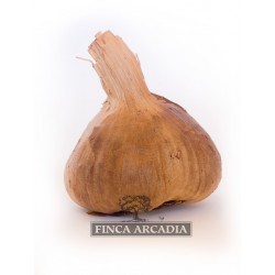 AJO NEGRO ECOLOGICO (TARRO CRISTAL 1 CABEZA) 2